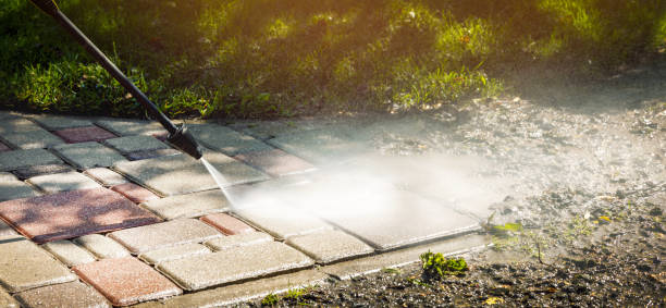 Best Animal Enclosure Cleaning  in Whiteville, NC